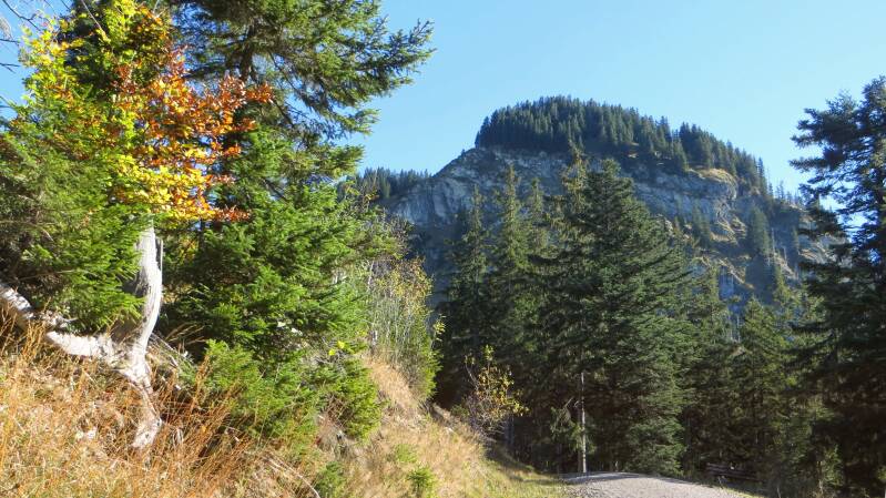 imberghornrunde-141018-_4240-standard-uxfi8i.jpg