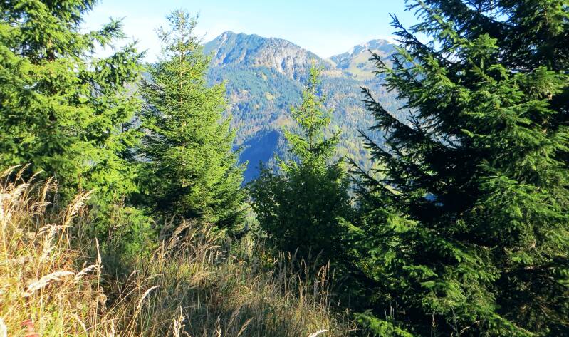 imberghornrunde-141018-_4277-standard-rcc100.jpg
