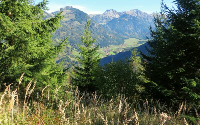 imberghornrunde-141018-_4278-standard-l37k73.jpg