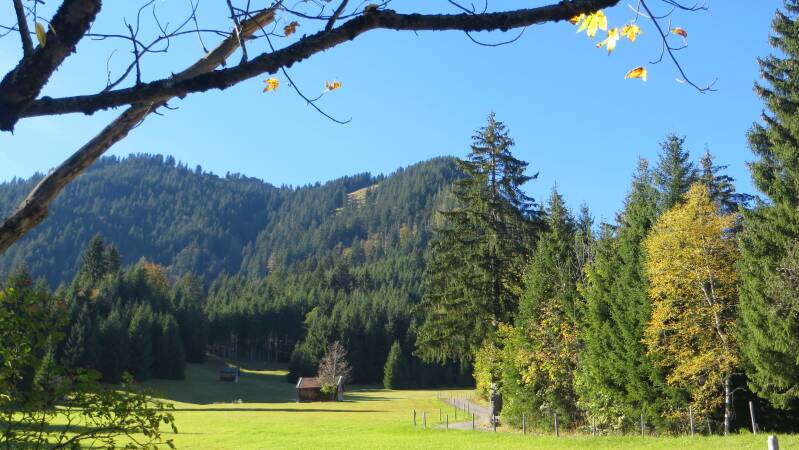 imberghornrunde-141018-_4300-standard-xclqmg.jpg
