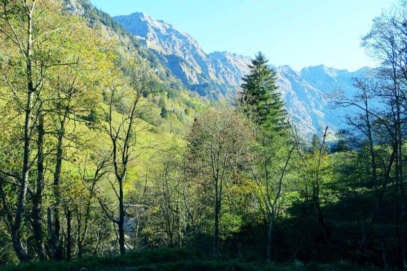 imberghornrunde-141018-_4334-standard.jpg