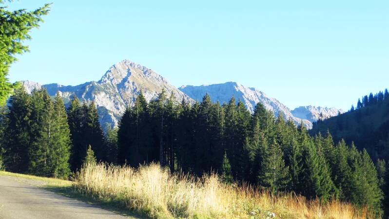 imberghornrunde-141018-_4354-standard.jpg