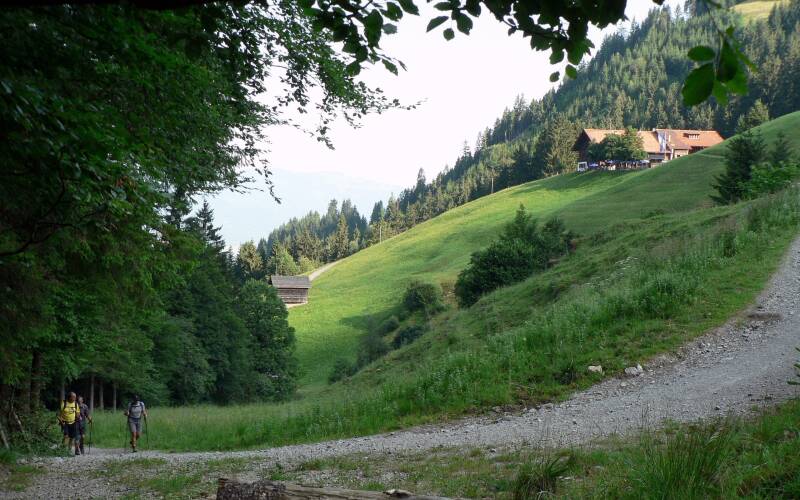 rubihorn-130722-_18-369-standard-v0e816.jpg