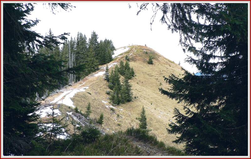 sonnenkopf-121118-_15-488-standard.jpg