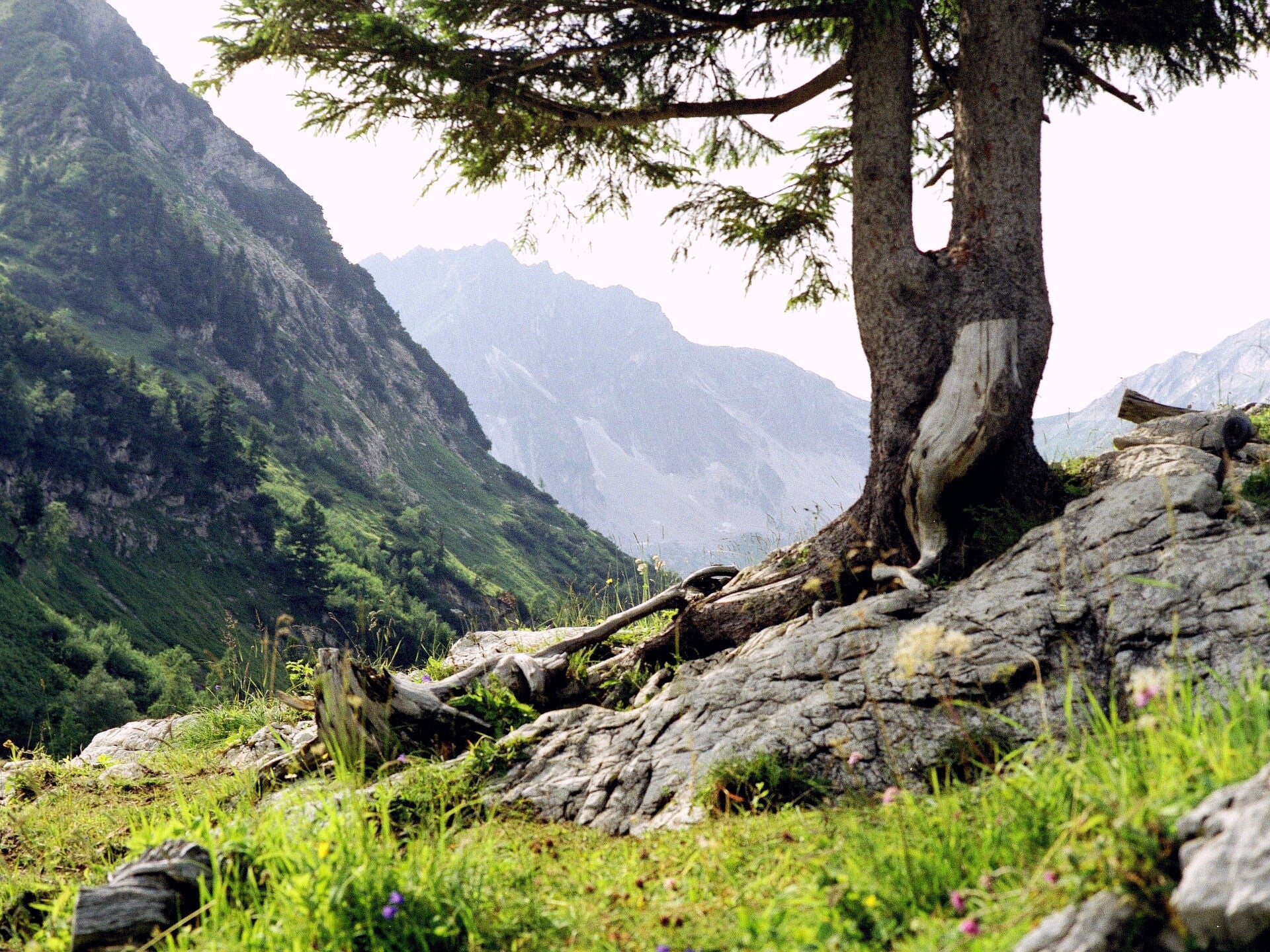 Blick zum Rauhhorn