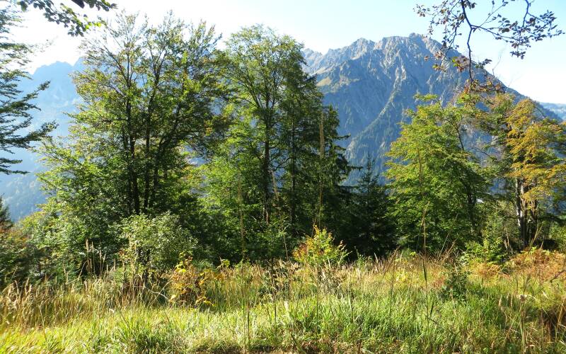 zipfelsalpe-iseler-140929-_3776-standard.jpg