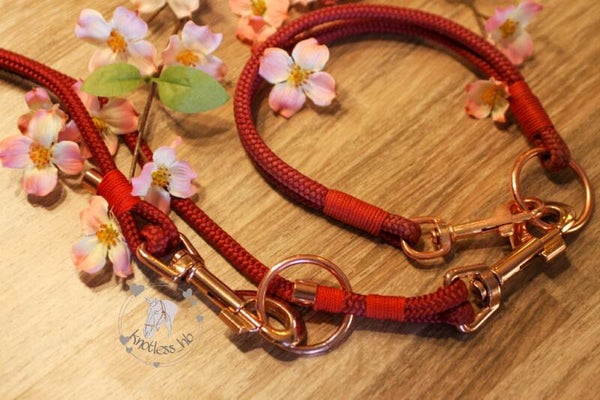 Halsband einfarbig + Hundeleine klein oder groß
