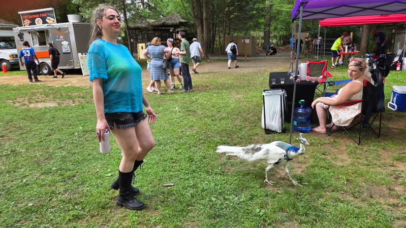 img_20260803_132809-2-standard.jpg