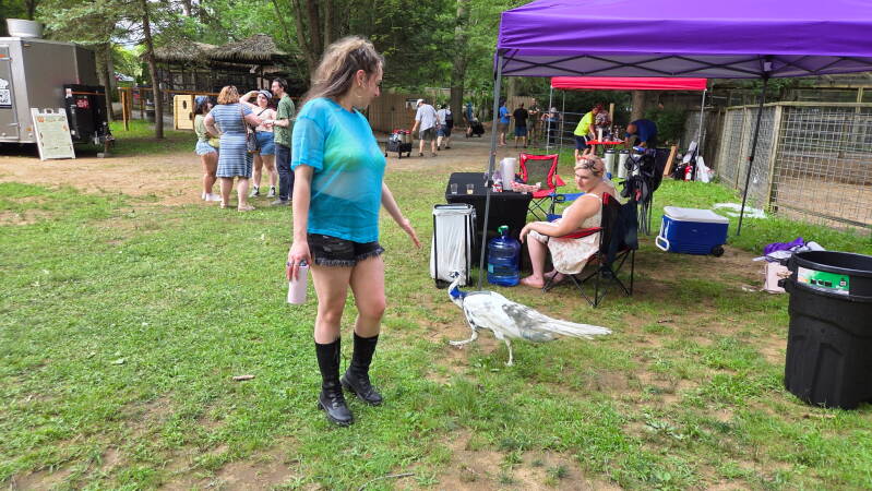 img_20260803_132809-standard.jpg