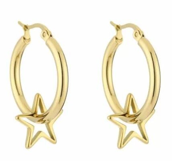 Star oorbellen⭐️