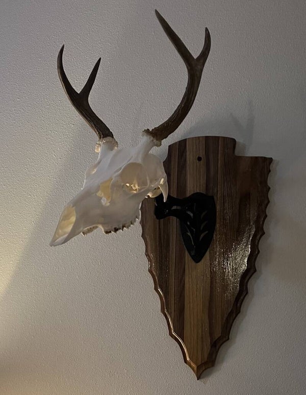 Deer / Elk mount plaque