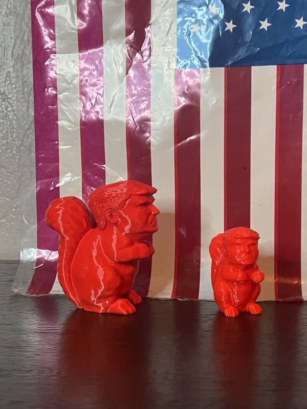 Trump Squirrel
