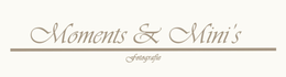 momentsenminis.nl