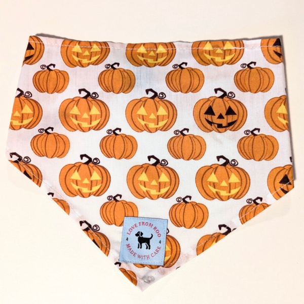 White Pumpkin Halloween