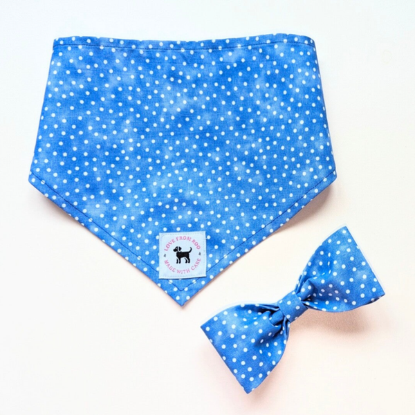 Blue and White spot Set