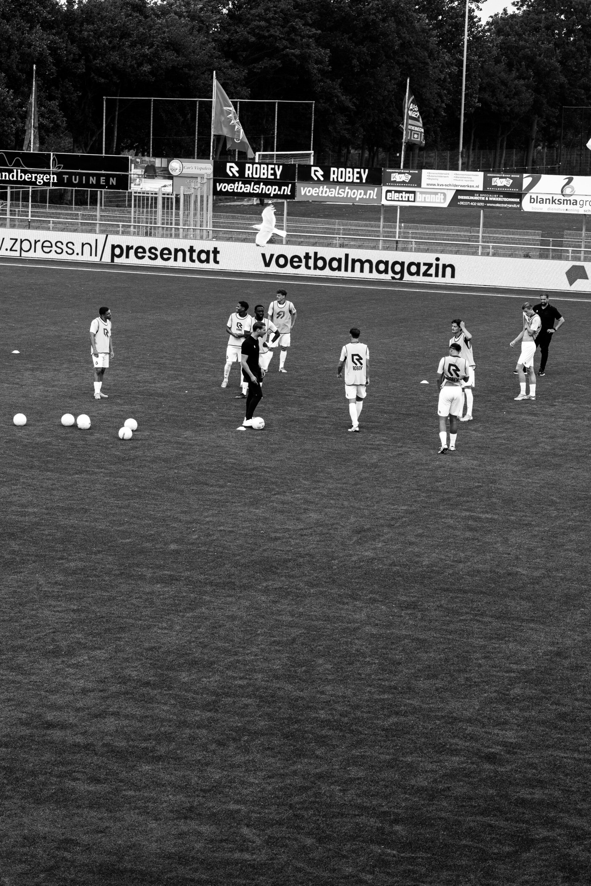 tvv02880-2-standard.jpg