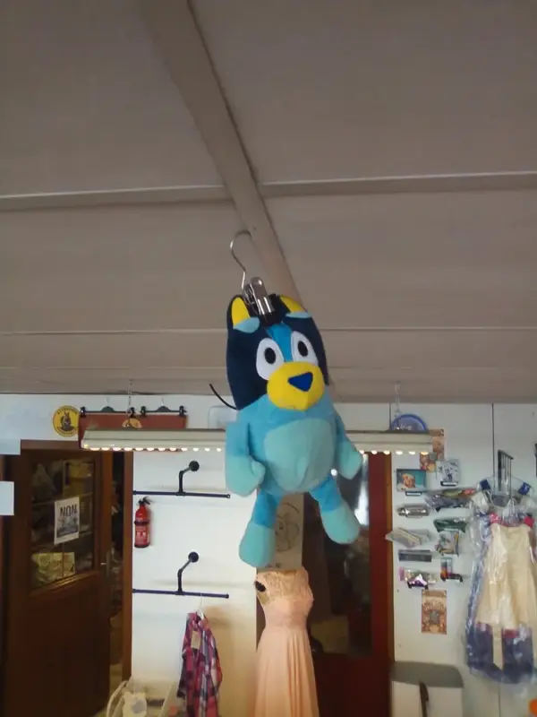 Bluey