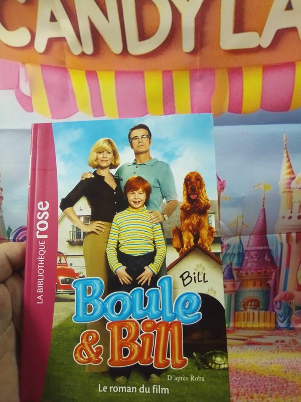 Boule & Bill Le roman du film