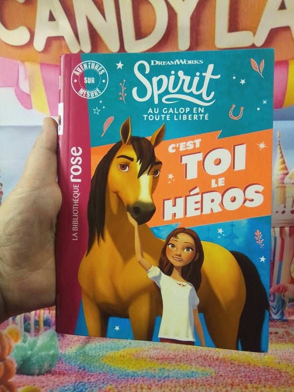 Spirit c'est toi le héros