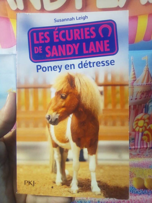 Les écuries de Sandy Lane "Poney en detresse"