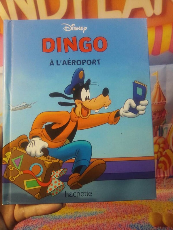 Dingo à l'aéropport