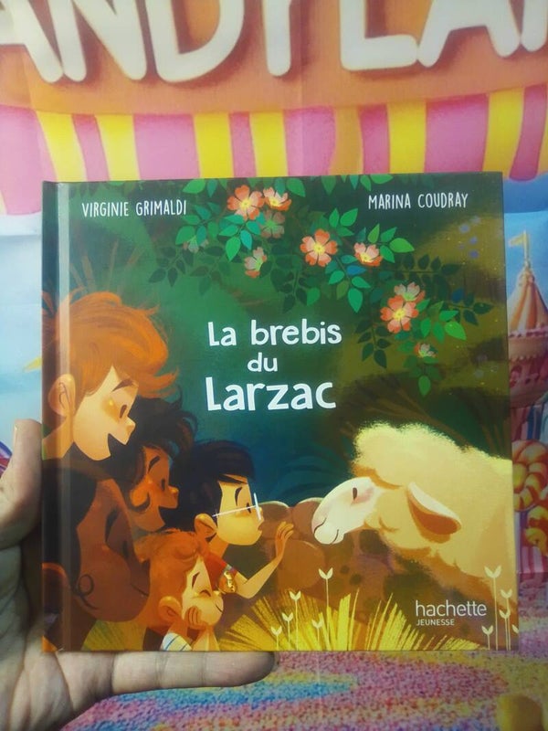 La brebis du Larzac