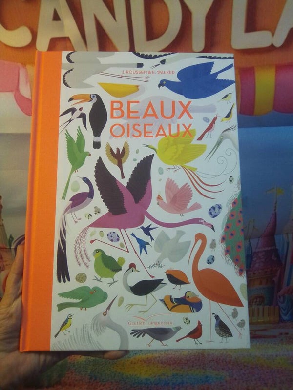 Beaux oiseaux