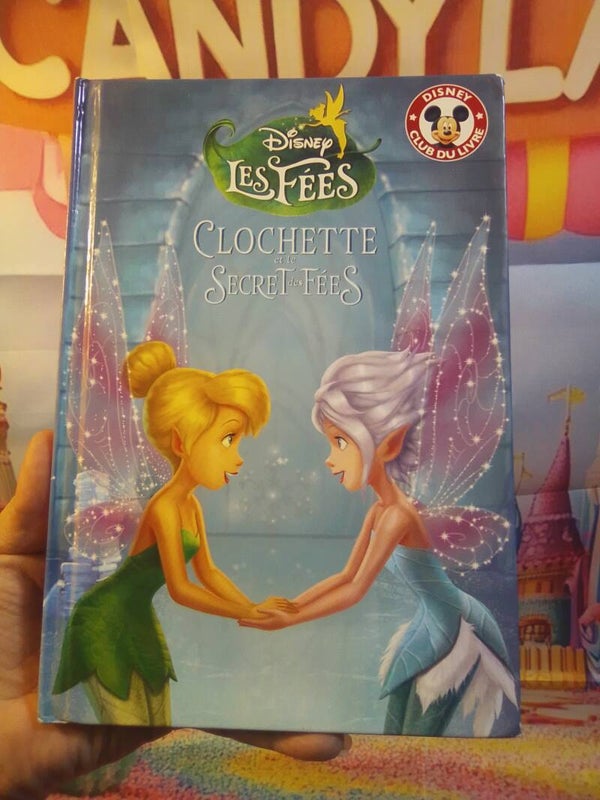 Clochette et le secret des fées