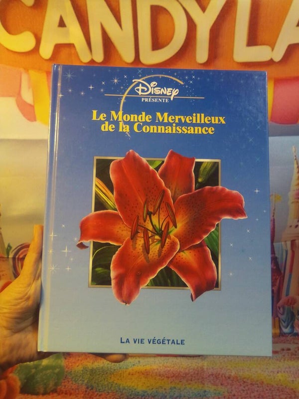 Le monde merveilleux de la connaissance