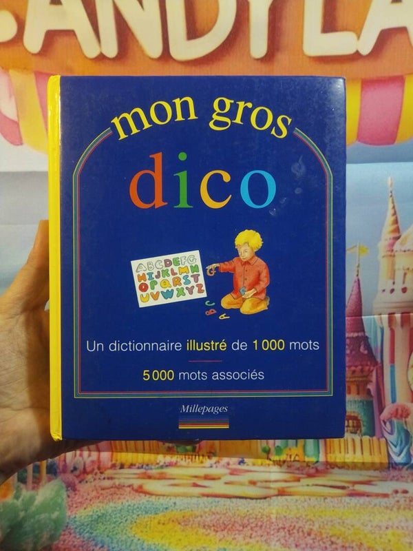 Mon gros dico