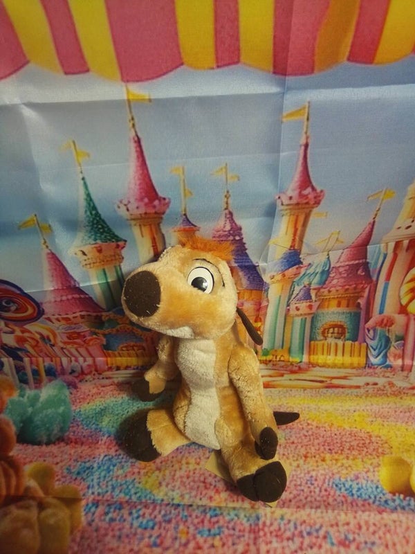 Timon du roi lion