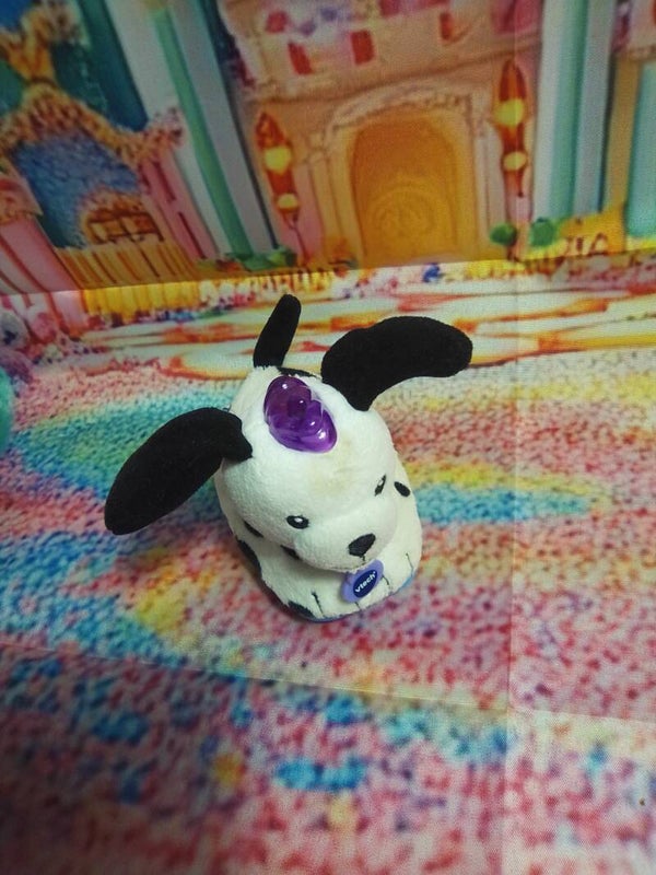 Coquin le petit dalmatien "Tut tut animo"