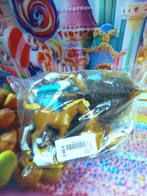 Chevaux et accessoires