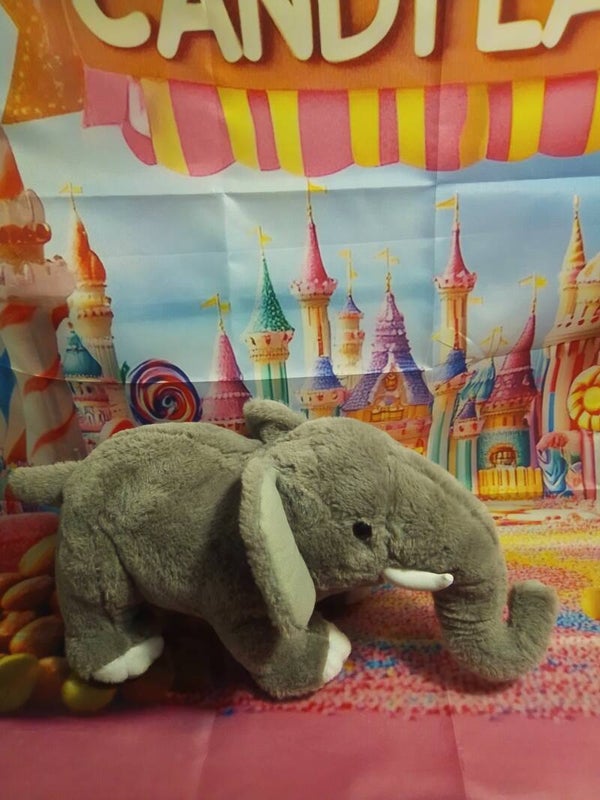 Eléphant