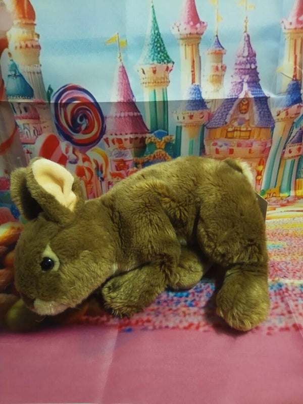 Lapin