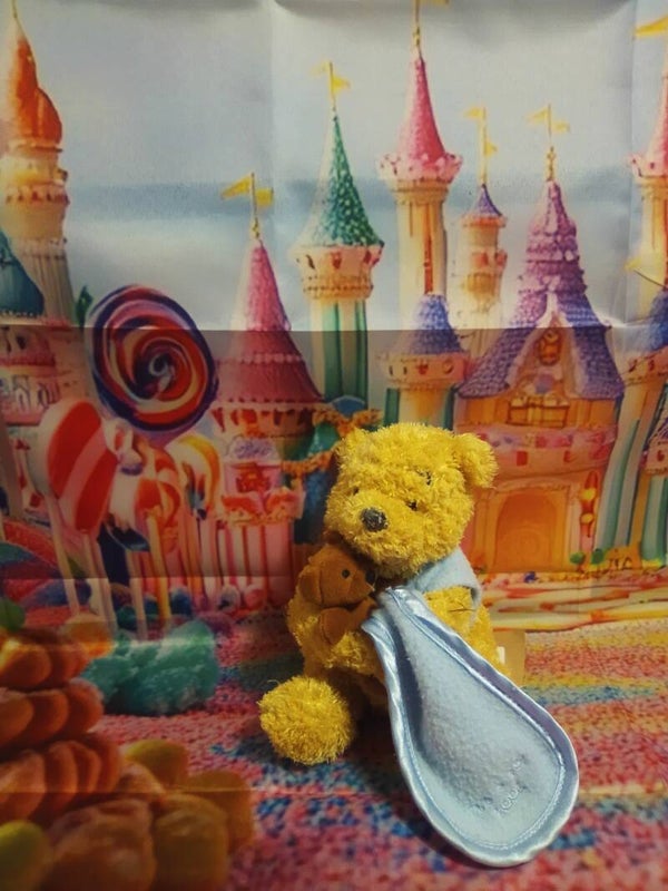 Winni l'ourson et son doudou