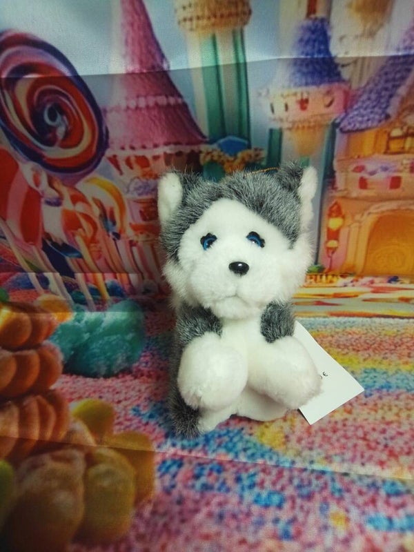 Husky