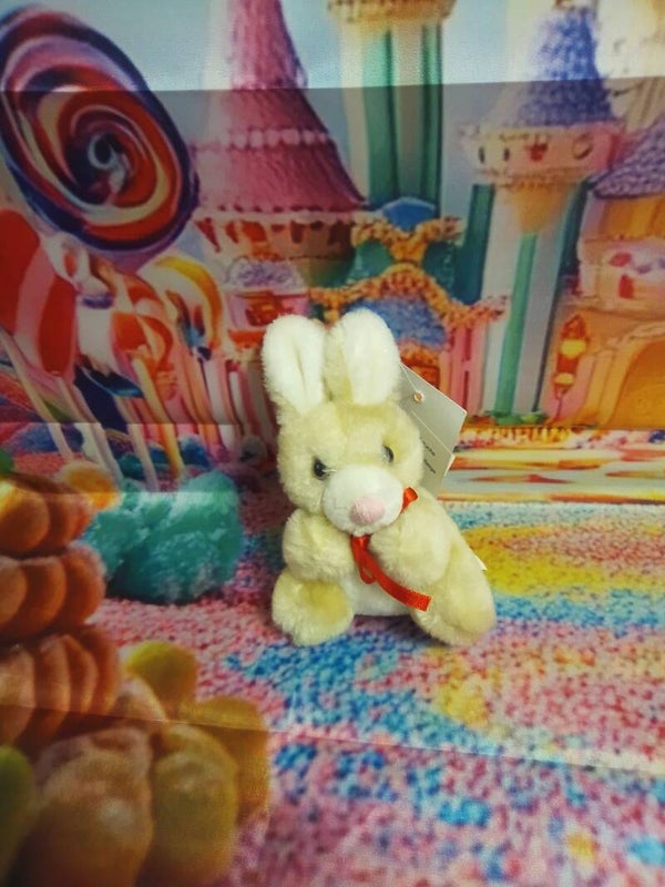 Lapin