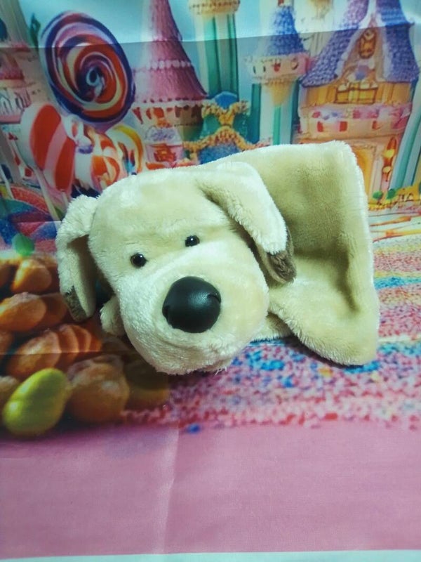 Range pyjama chien