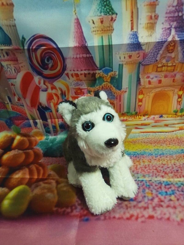 Husky