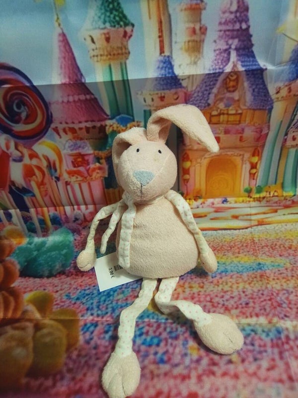 Lapin