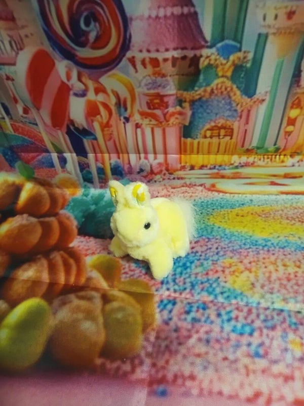 Petit lapin