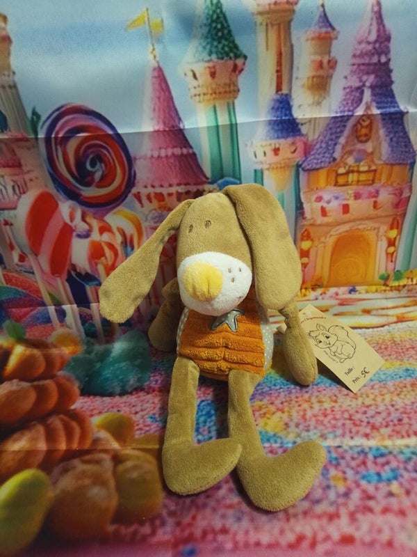 Lapin