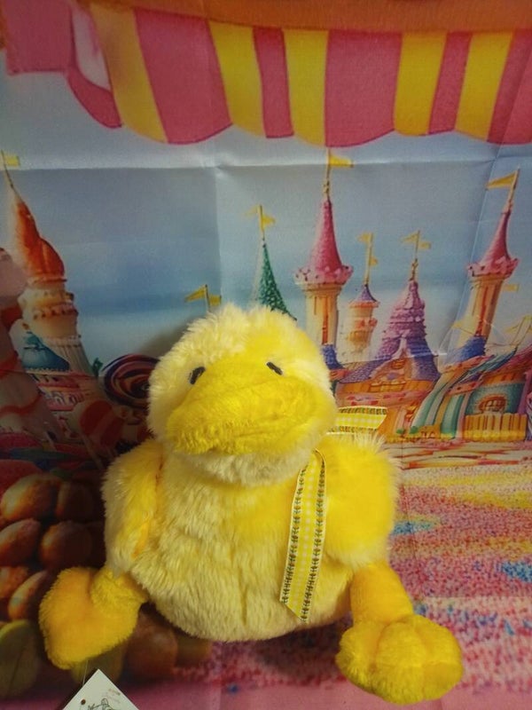Canard