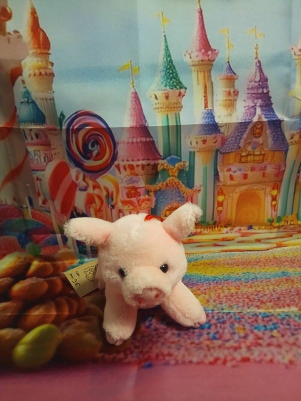 Cochon