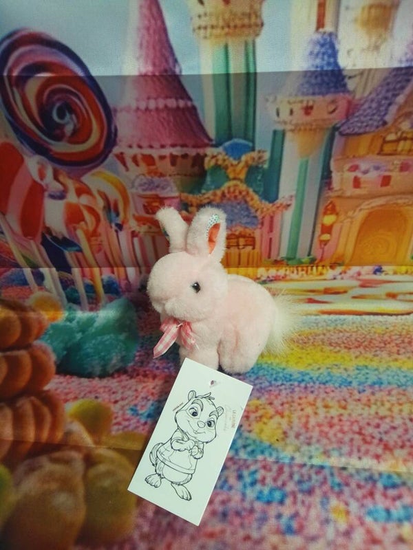 Petit lapin