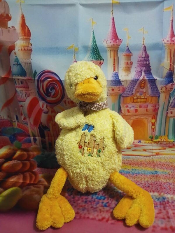 Canard