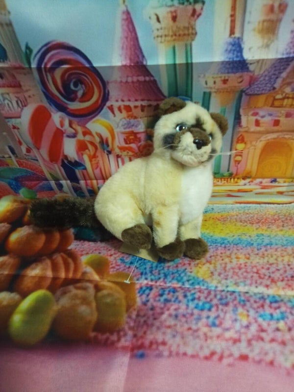 Chat