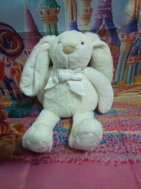 Lapin