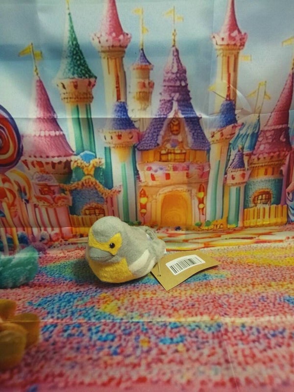 Oiseau